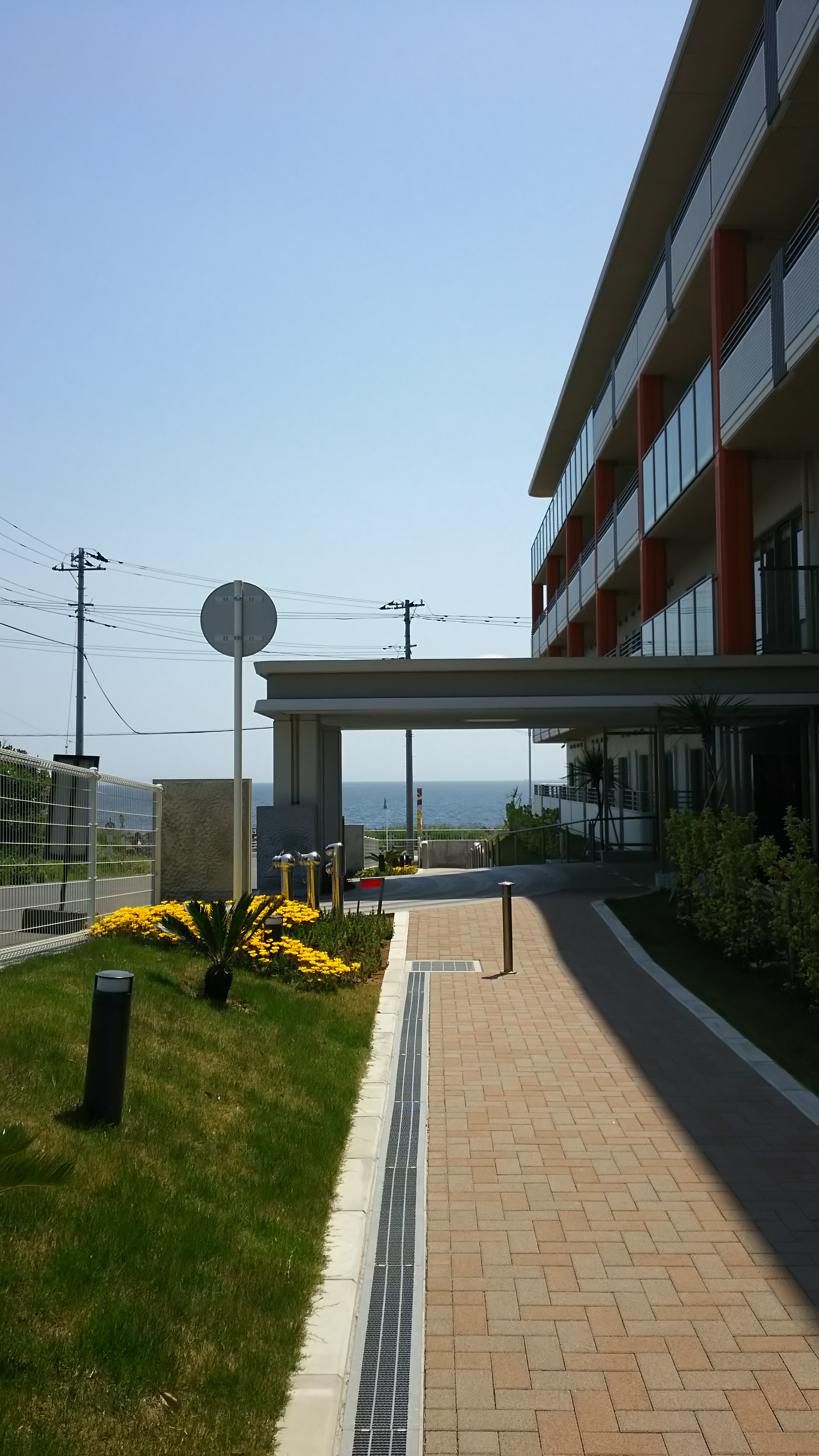 野比 野比